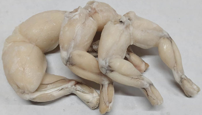Beasley Fish Frog Legs Grafton IL 62037