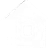 Home Button